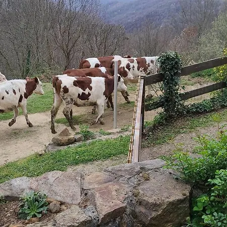 La Grange D'ardichen Vue Sur Les Montagnes Casa de Férias