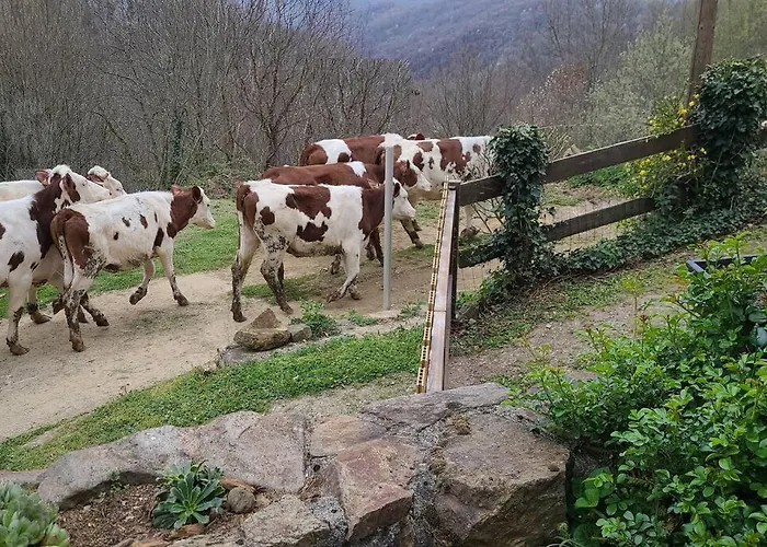 La Grange D'ardichen Vue Sur Les Montagnes Tatil Evi